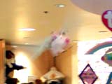 flying pig movie